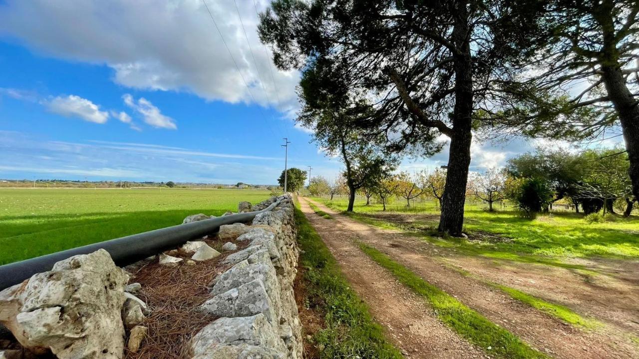 Masseria Elefante Turi Kültér fotó