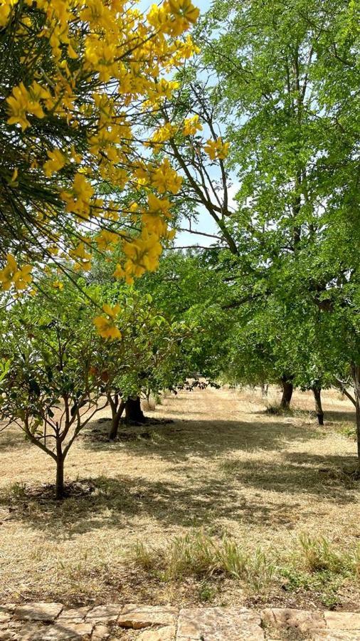 Masseria Elefante Turi Kültér fotó