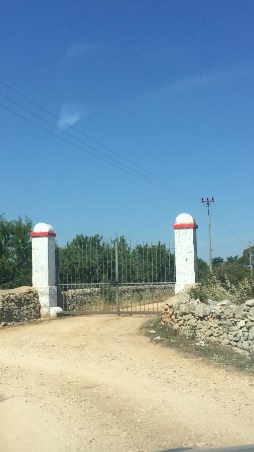 Masseria Elefante Turi Kültér fotó