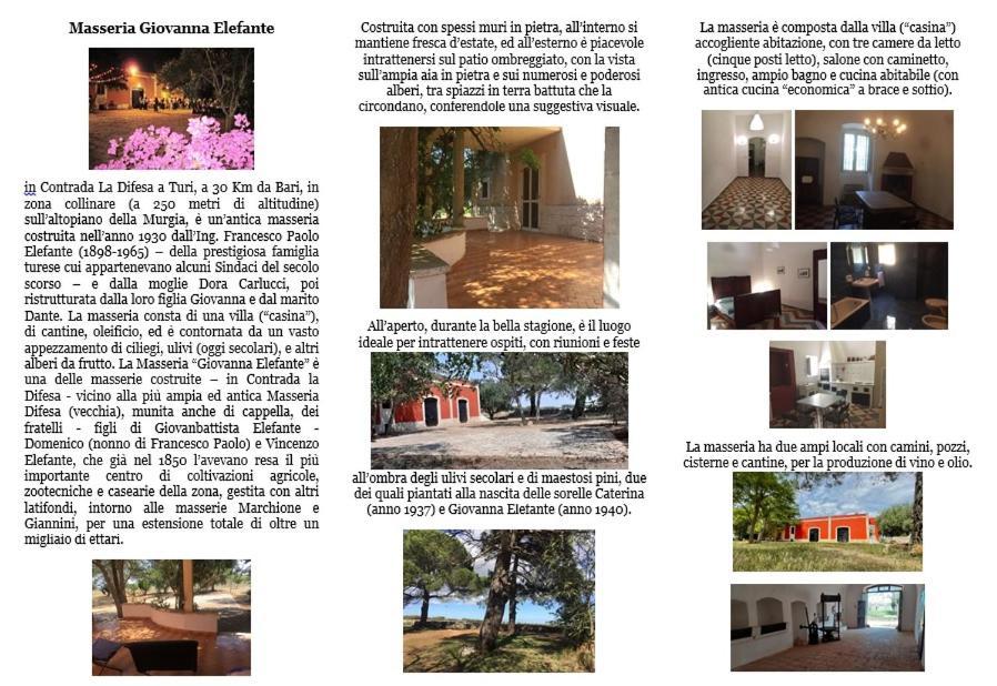 Masseria Elefante Turi Kültér fotó